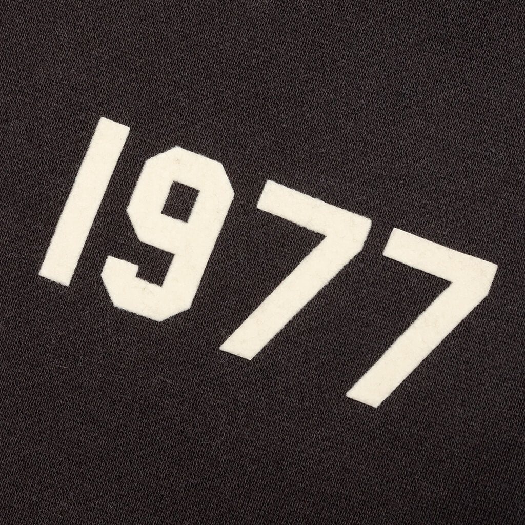 ESSENTIALS 1977 SWEATPANTS — IRON — detail